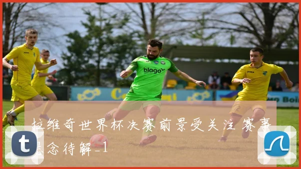 拉维奇世界杯决赛前景受关注 赛事悬念待解_1